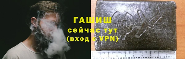 молекула духа Костерёво