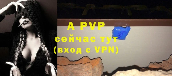 молекула духа Костерёво